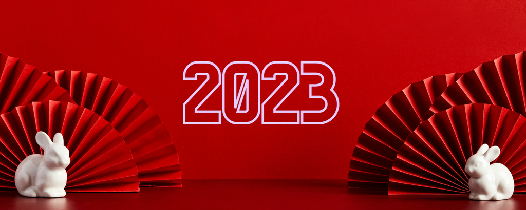 Chinese Horoscope 2023: What to Expect According to Your Zodiac Sign
